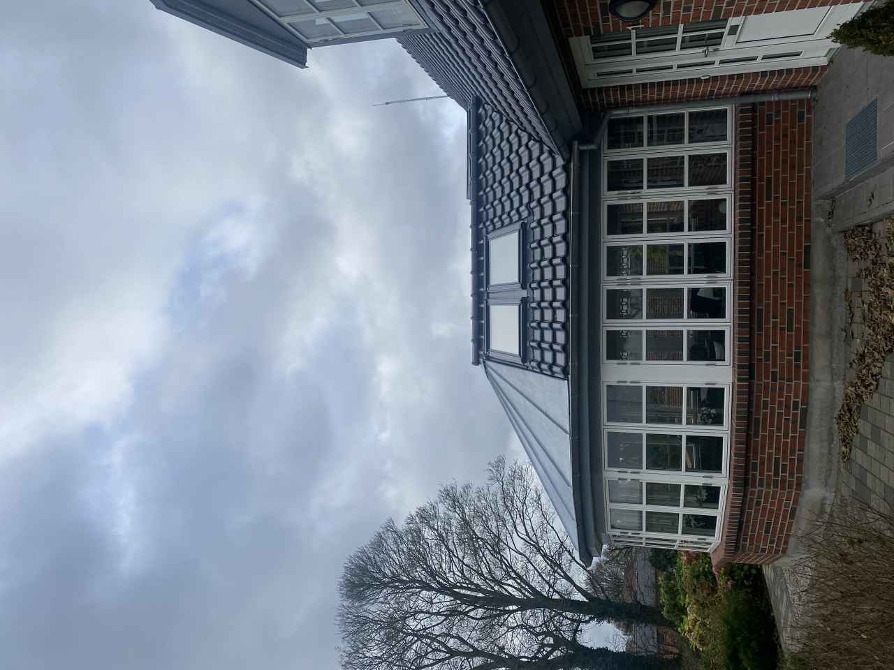 IMG_6187.jpeg